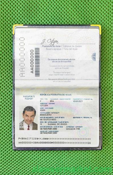 Brazil passport (2016-2019) photo look